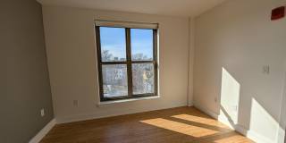 Sunny, Modern Allston 2-Bed/2-Bath Steps from Packard's Corner! Gallery 6