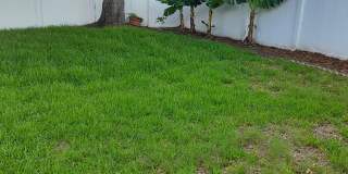 1003 Lumsden Trace Circle Gallery 50