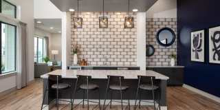 Emory West Cypress Gallery 13