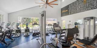 Serramonte Ridge Gallery 17