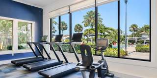 Citra at Windermere Gallery 26