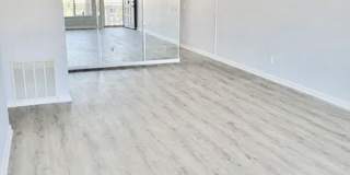 2429 Ecuadorian Way Gallery 5