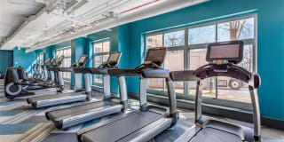 Potomac Towers Gallery 30