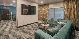 Buffalo at Desert Shores Gallery 18
