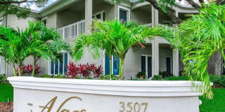 3507 BAYSHORE Boulevard Gallery 2