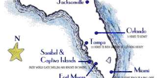 14501 Daffodil Drive Gallery 38