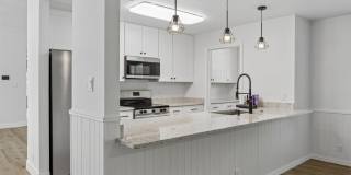 431 Court Of Pompei Gallery 8