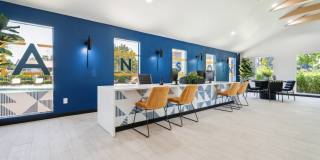 Anson at North Hills Gallery 29