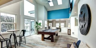 The Lynx Gallery 23