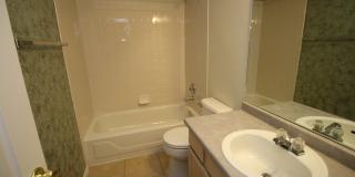 Spacious Home with Finished Basement and Fenced Backyard in 80923 Gallery 9