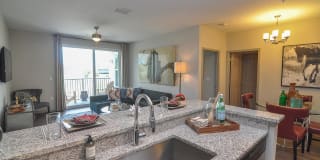 TGM Ibis Walk Gallery 3