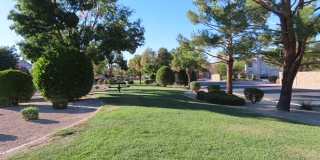 1623 Cave Spring Drive Gallery 20