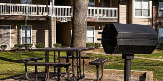 The Forest at Chasewood Apartment Homes Gallery 48