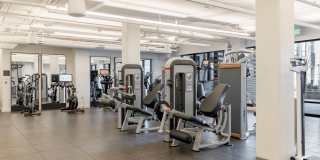 The Edmund Gallery 9