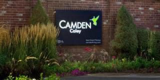 Camden Caley Gallery 31