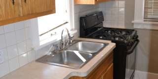 One block from USF! Huge home with 4 bedrooms! Fenced in yard Gallery 11
