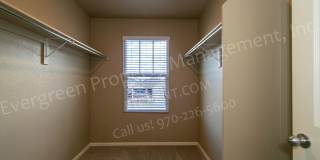 Spacious Home in Timnath Ranch Sub-Div! Gallery 22