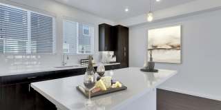 Platt Park Townhomes Gallery 10