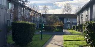 Bella Vista Gallery 10