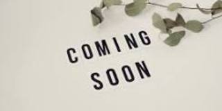 2113 Southfork Drive - Gallery 1