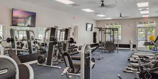 Waterline Bonita Springs Gallery 23