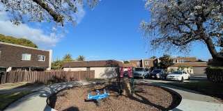 4459 Anne Sladon Street Gallery 22