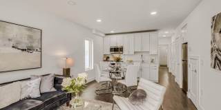 Columbia Heights 2BR 2BA w/Parking & Private Patio Garden Gallery 3
