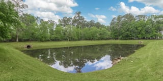 Birchwood Park Gallery 14