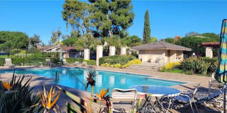 4951 Paseo De Vega Gallery 17