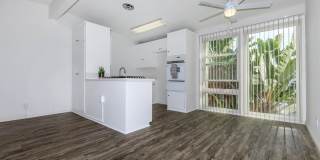 Sea Breeze Beach Apartments Sea Breeze Beach Apartments Gallery 24