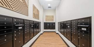 Union at Roosevelt I and II Gallery 20