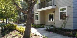 Midtown Apartments Gallery 3
