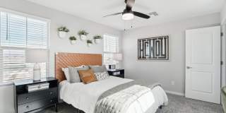 Avanterra Queen Creek Gallery 30