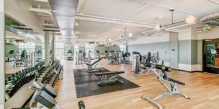 Parkside Esterra Gallery 33