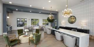 The Statesman Gallery 14