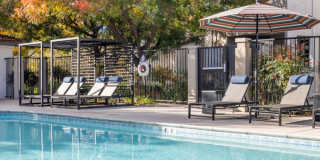 Terra at Portola Park Gallery 17