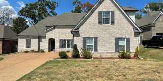 Hernando home COMING SOON! Hernando home COMING SOON! Gallery 1