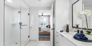 Tortoise One Gallery 13