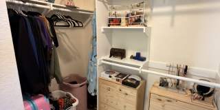 9062 Stargaze Avenue Gallery 23