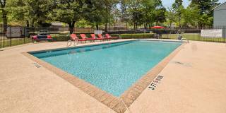 Hollytree Apartments Gallery 40