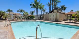 Newly Renovated and Furnished Ocean View Home! Gallery 49