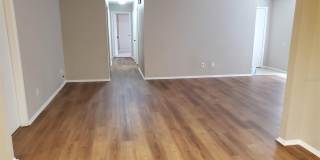 1311 ALFONZO CIRCLE Gallery 5