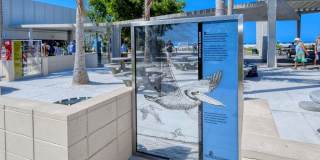 5468 WILKINSON ROAD Gallery 59