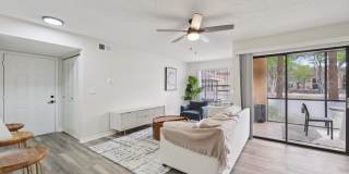 Oasis at Naples Gallery 12