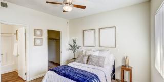 Desert Ridge Gallery 14