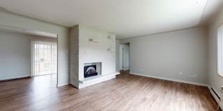 South Majestic Gallery 24