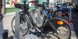 SOMA at 788 Gallery 34