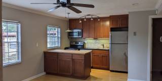 Downtown Orlando (Lake Davis, Delaney Park, Lake Cherokee) Gallery 4