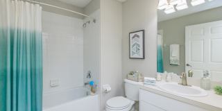 Ariel Springs Gallery 56