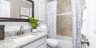 The Lynx The Lynx Gallery 7